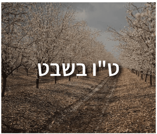אורקוויז לבתי ספר לכבוד טו בשבט