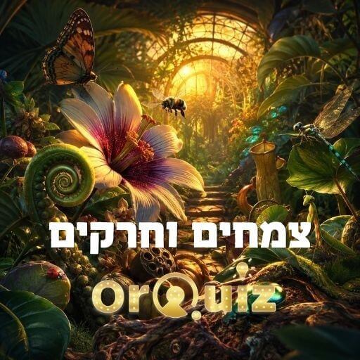 טורניר הקיץ של OrQuiz - צמחים וחרקים
