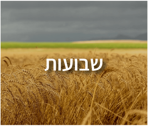 חידון לבתי ספר בנושא שבועות